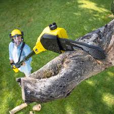 Best Lawn Irrigation Installation and Maintenance  in Oakley, CA